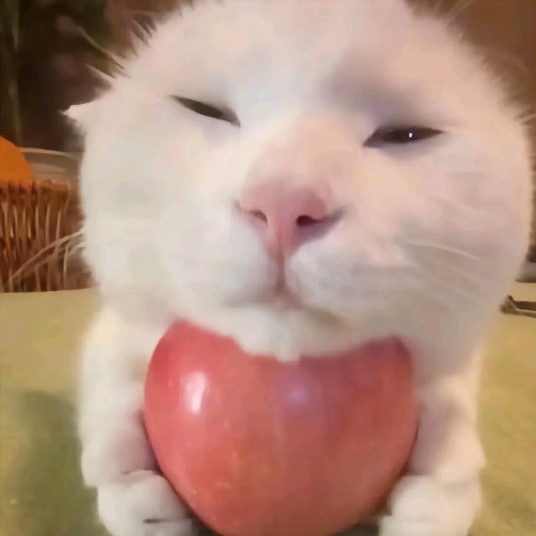 花露水
