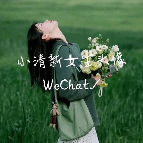眉眼如初