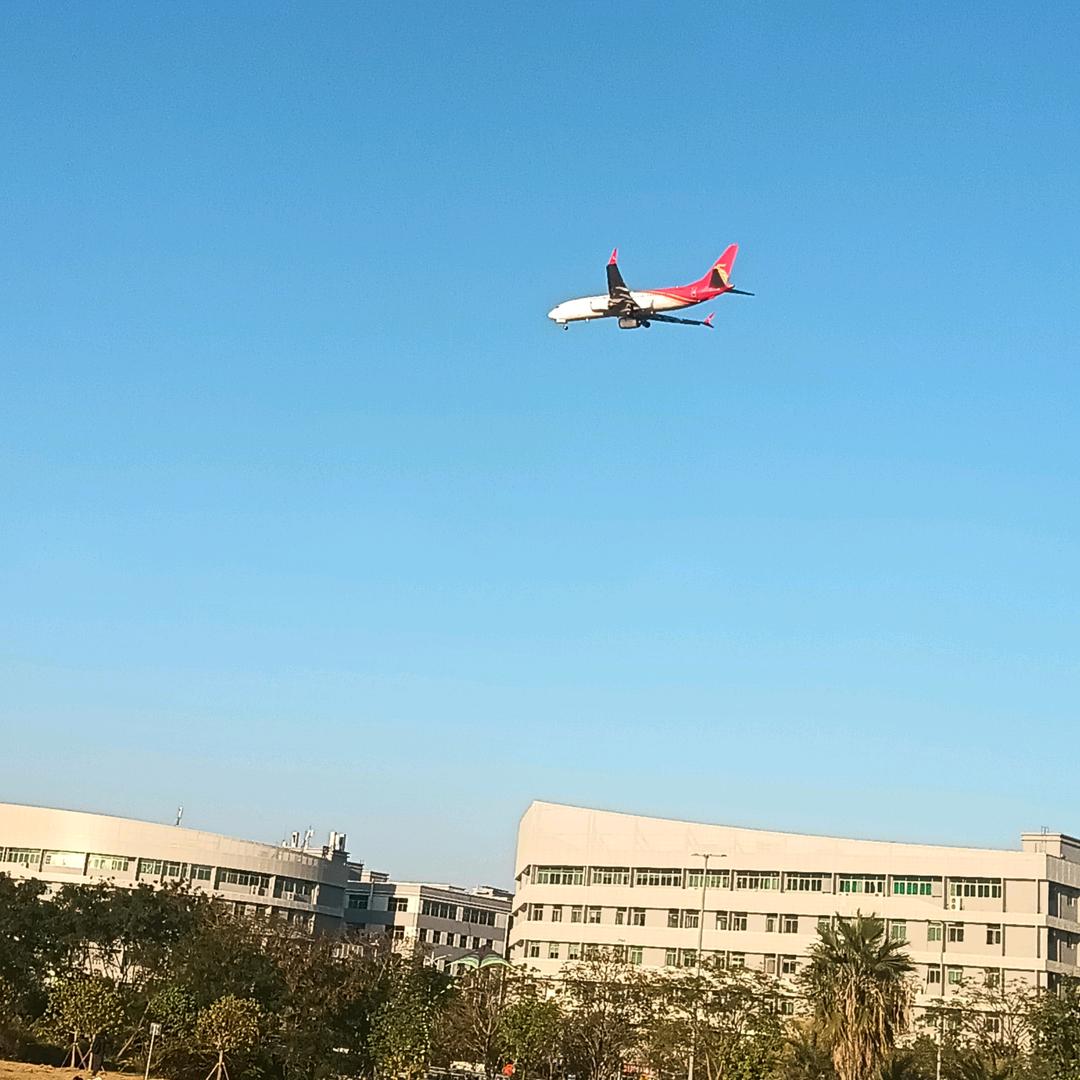 海阔天空🌊