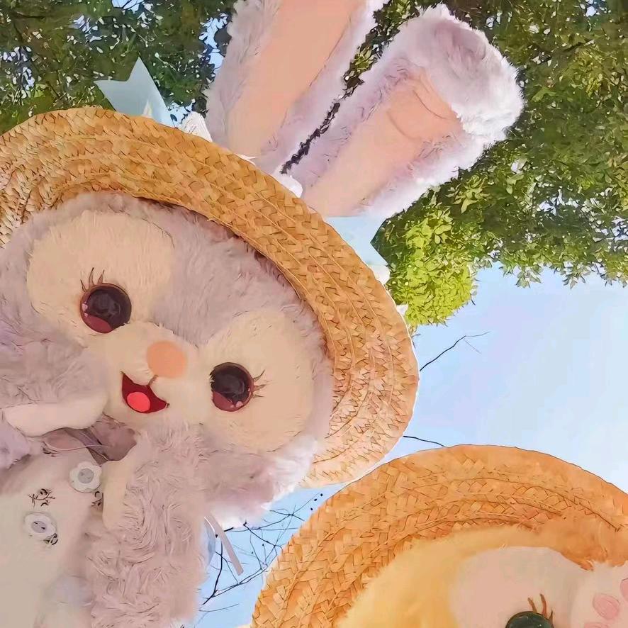 山茶花妹
