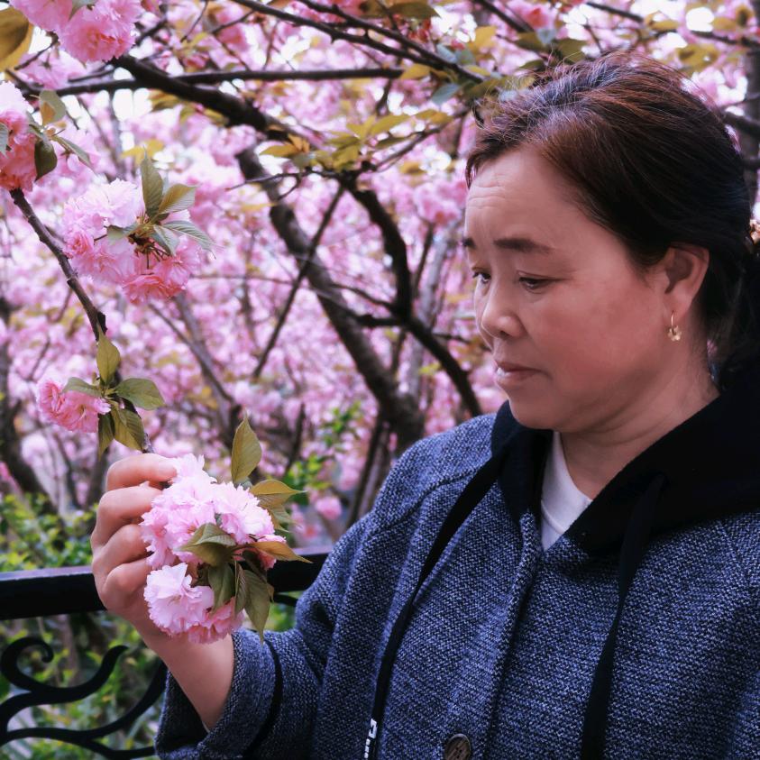 一帆风顺