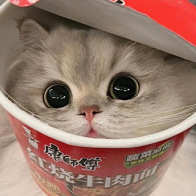 小妮子