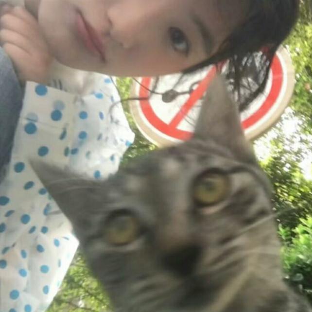 北方寄相思