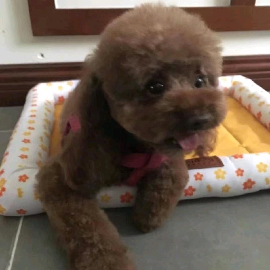 killer汤（卤蛋出新歌版）⁶⁷⁸⁶