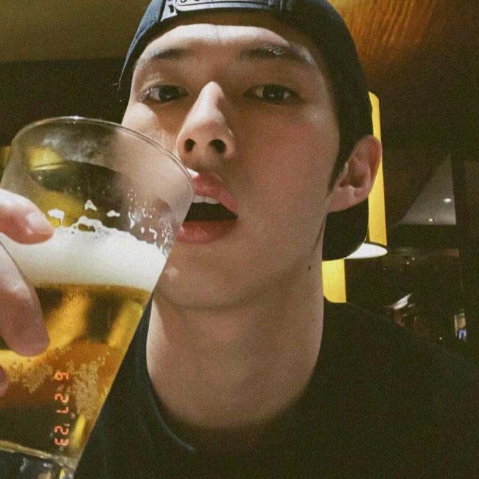 骄傲的赛亚人王子