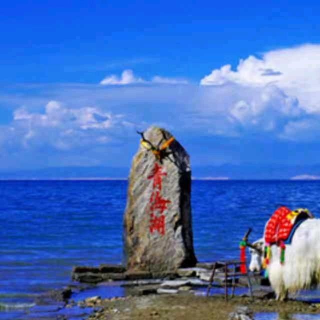 梦想蓝天