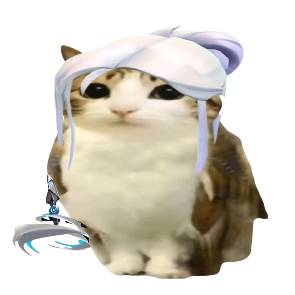 Mona可以吃芝士汉堡