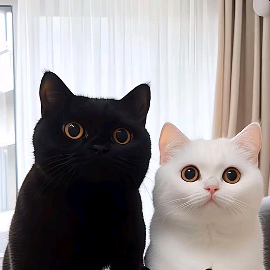 不看胸小女主播