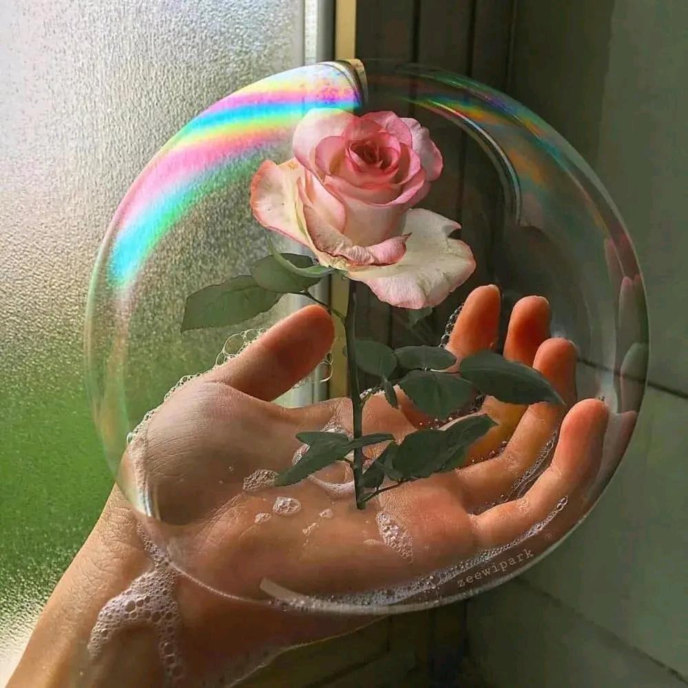 恭喜发财，年年有味🐚🍓🍫