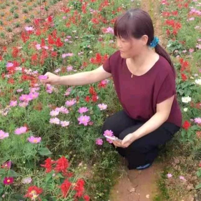 余生安好🌼