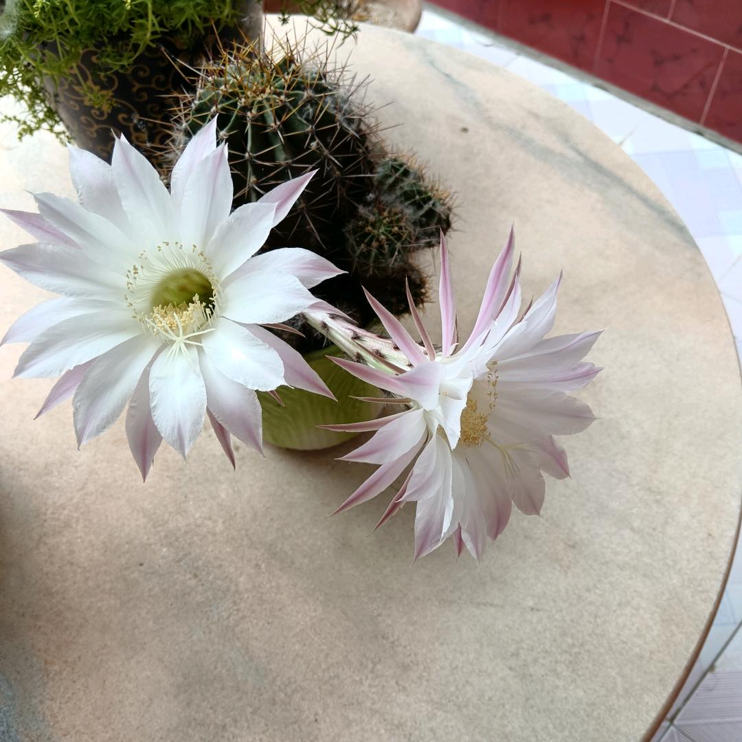 天赐良缘婚庆