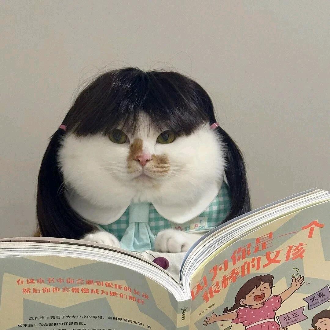 纯情蟑螂火辣辣