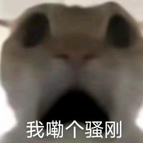 我嘞个韶钢