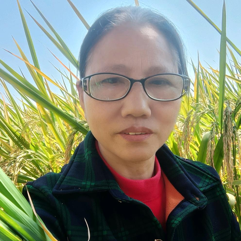 经历姐13点10分