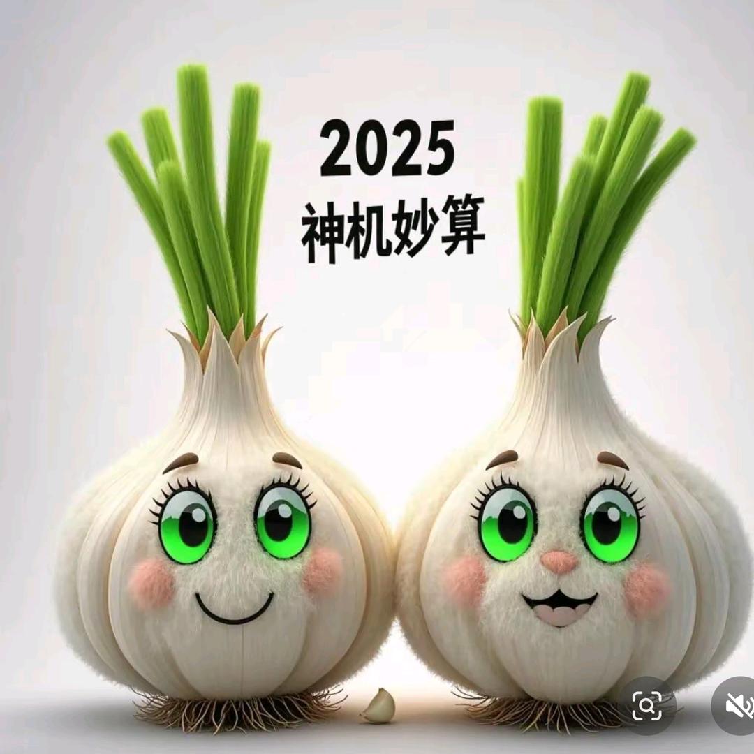 利强团队