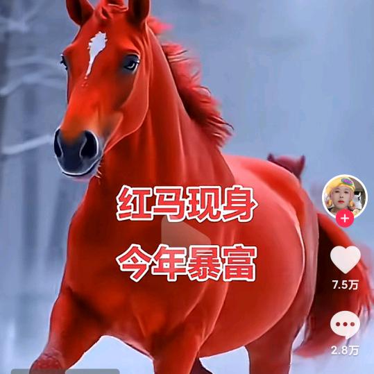 恒心