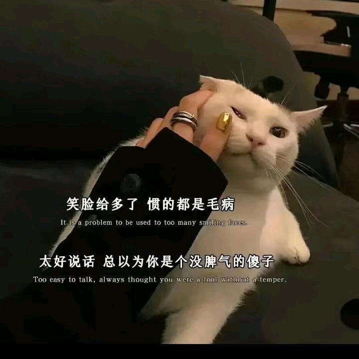 诺言！！！！！！