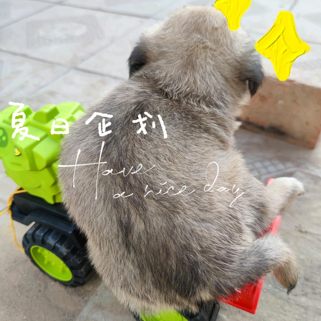 秘而不萱