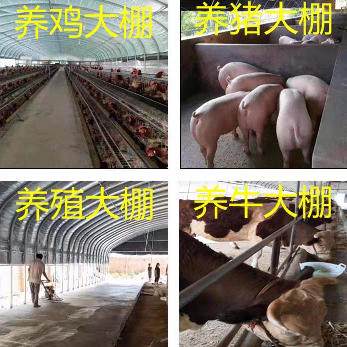 新农人农业科技