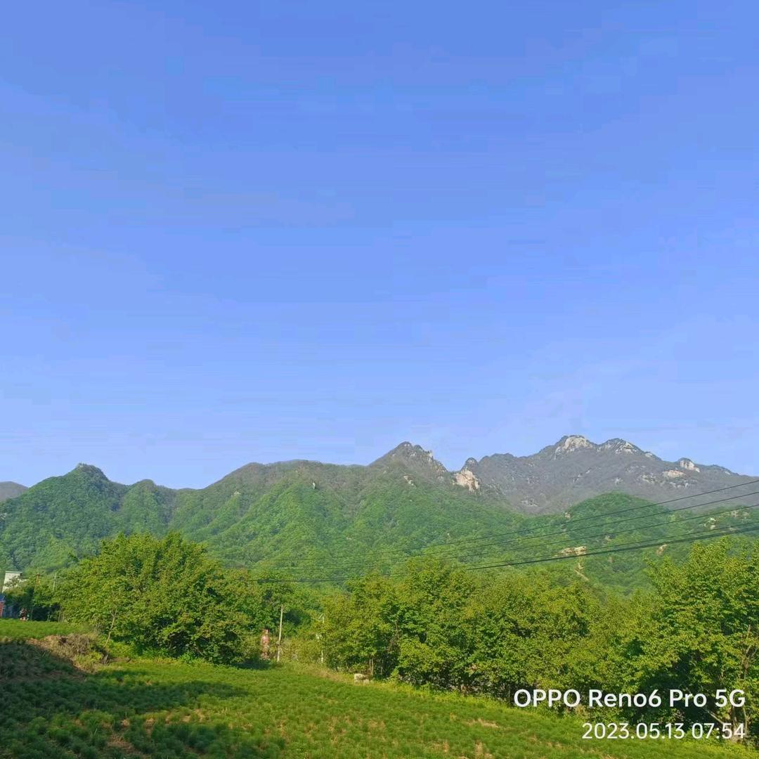 带给你的(故事)