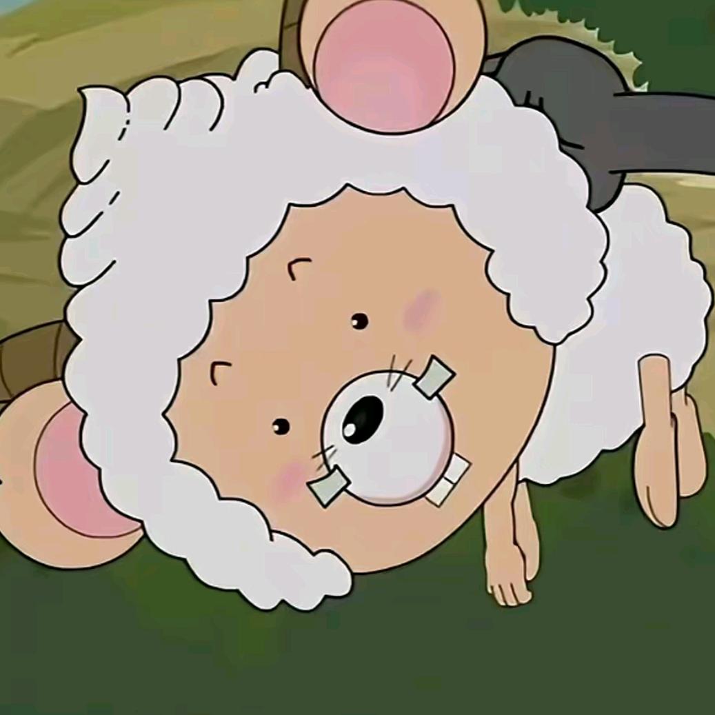 懒懒的🐏