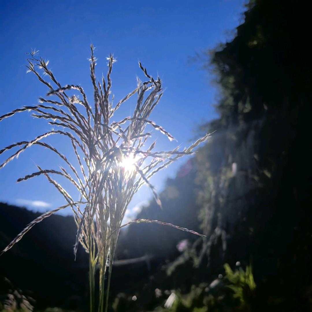 ⭐