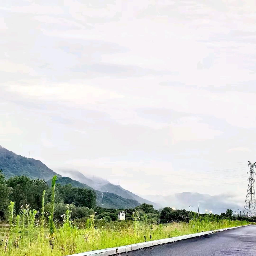 🌸𝓇ℯ𝒷𝒾𝓇𝓉𝒽