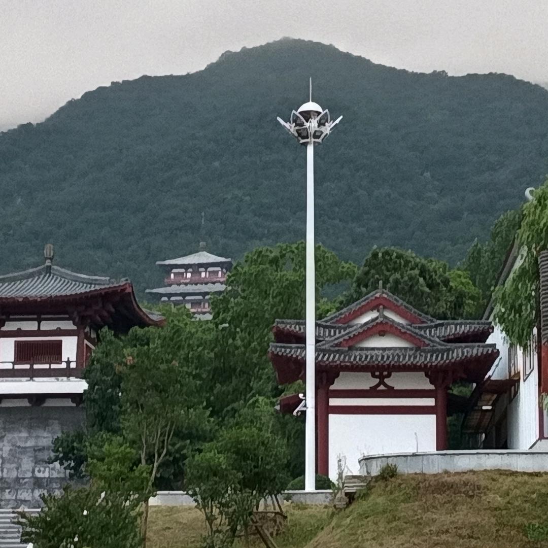 小桦
