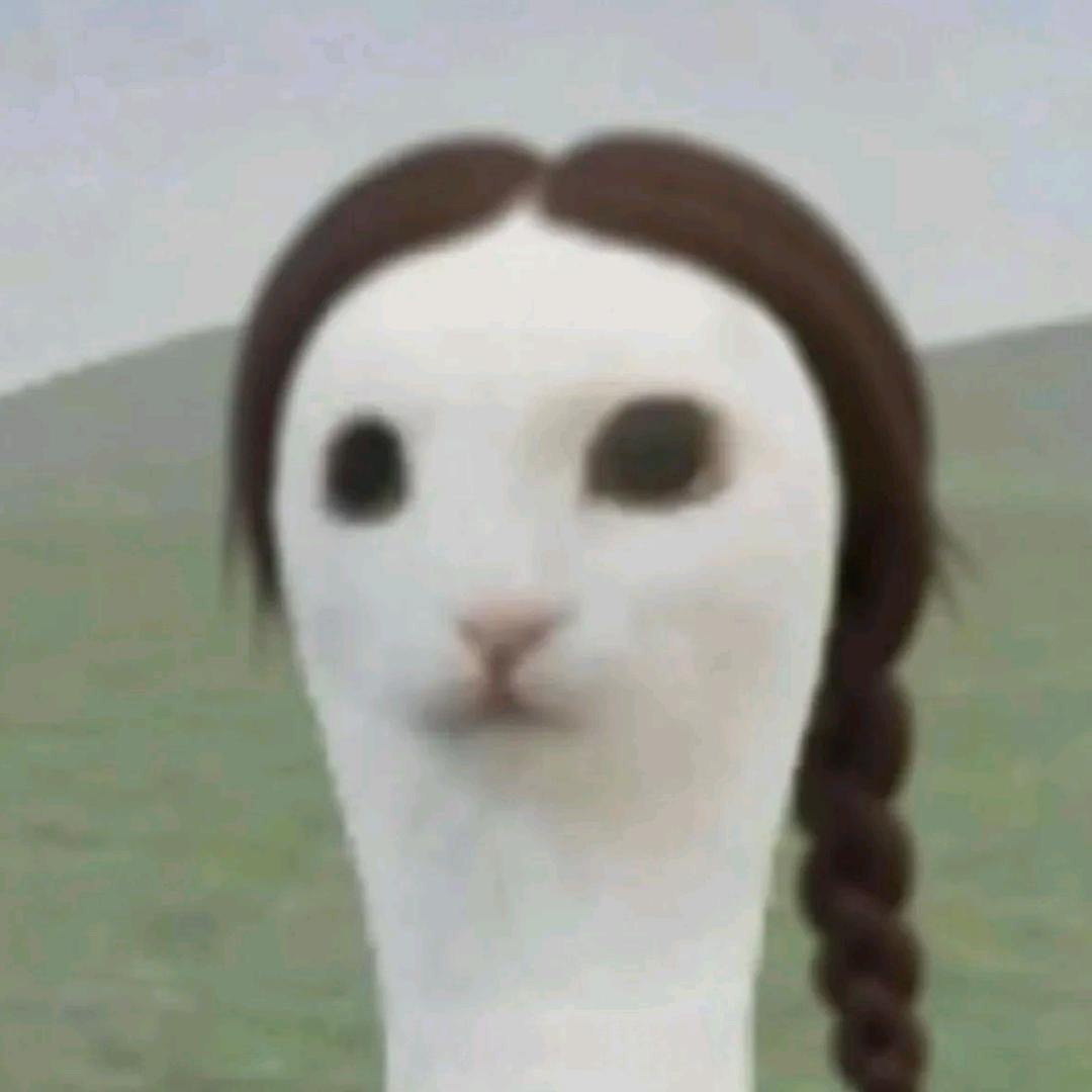 醒了洗洗睡