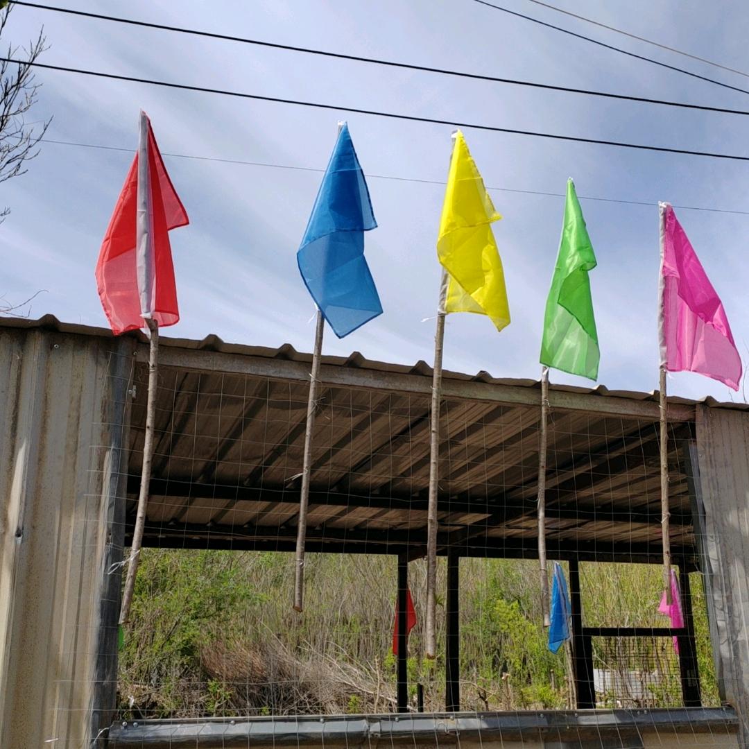 抬头看阳光种兔养殖基地