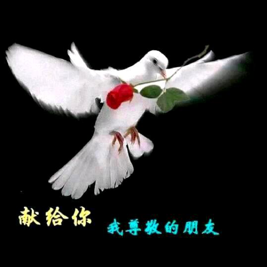 (❁´◡`❁)封心🧚🏻锁爱🌷