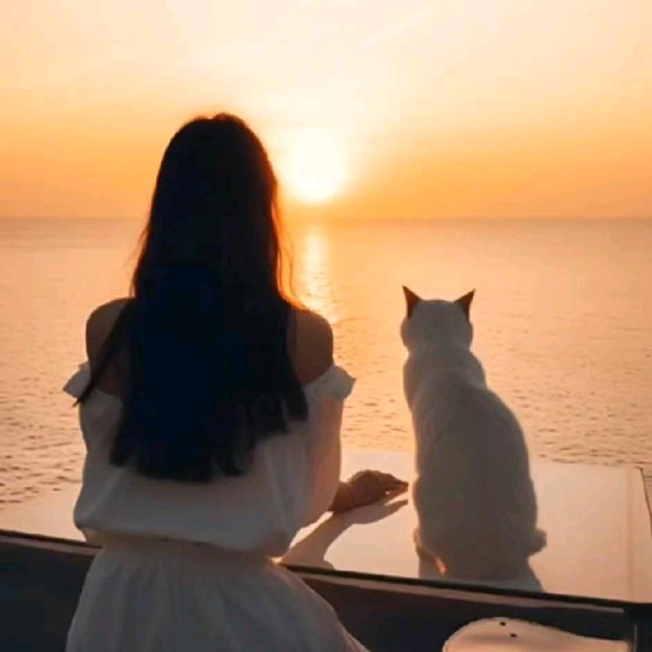 木双子