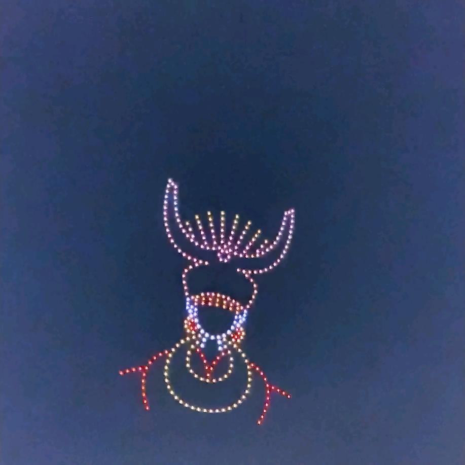 春姐现捞