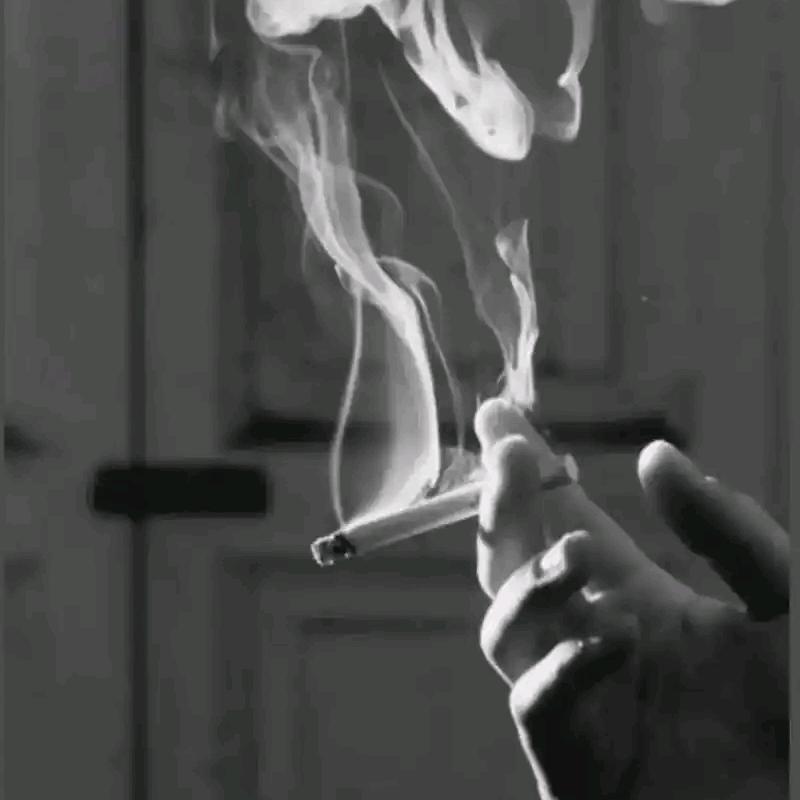 小豆芽头像