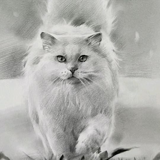 小雨