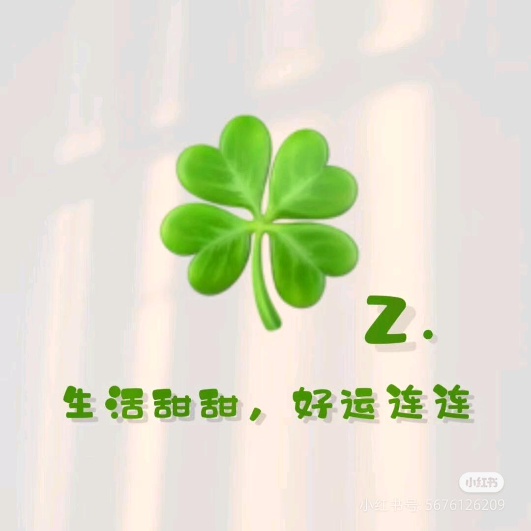 微笑｡◕‿◕｡