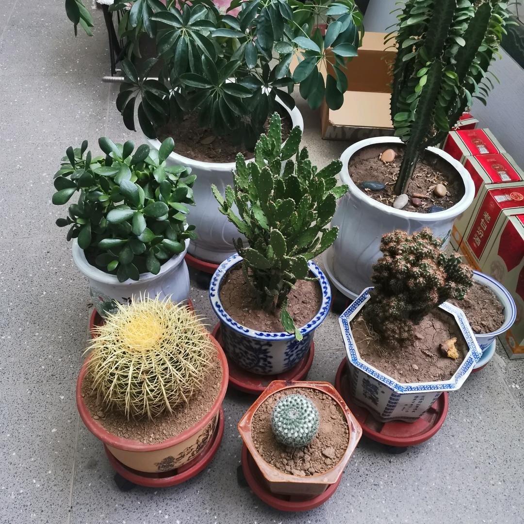 ල᭄💞夏苒♥ꦿ᭄࿐