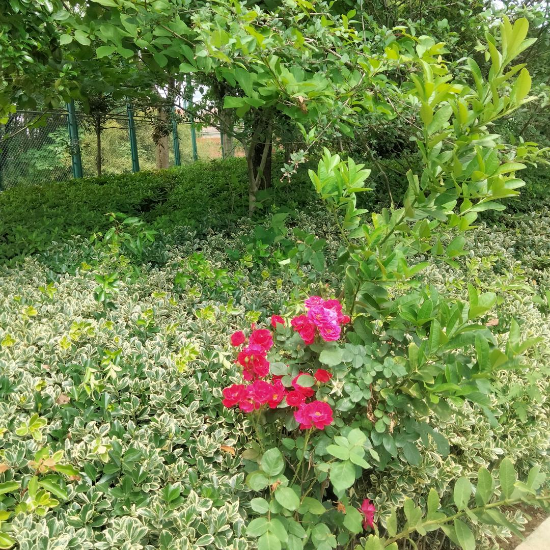 开心快乐
