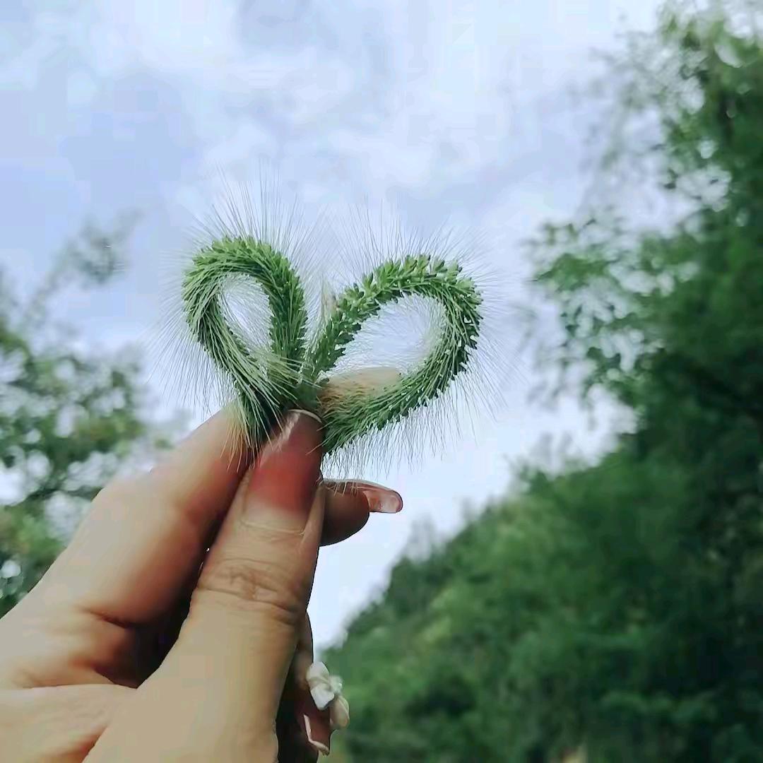 ໑ຼₒ₂5ღ᭄岁月静好꧔ꦿ᭄💞