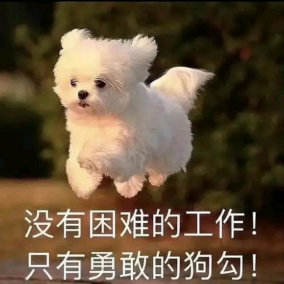 Lalala（减肥版）