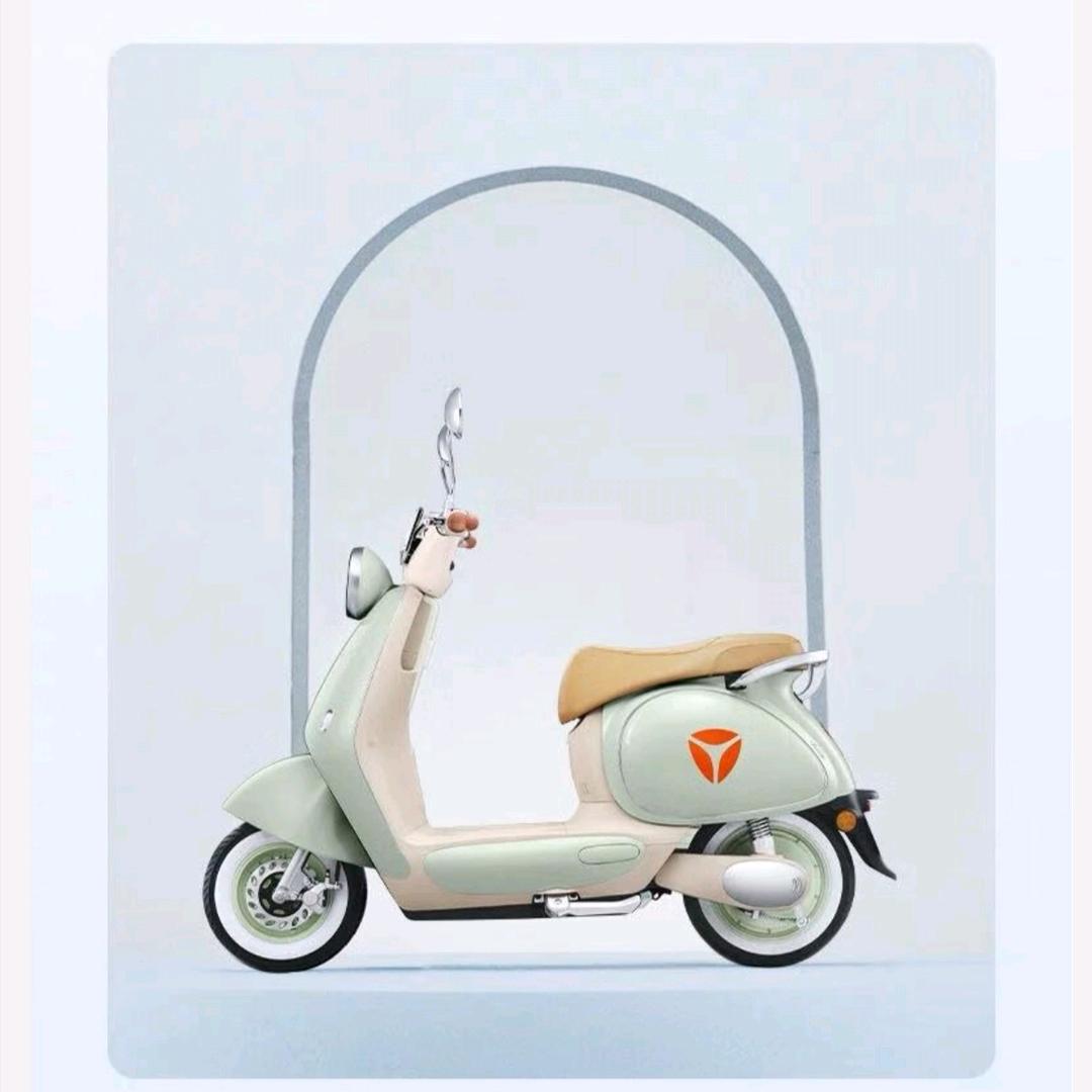 雅迪电动车（孟庄店）