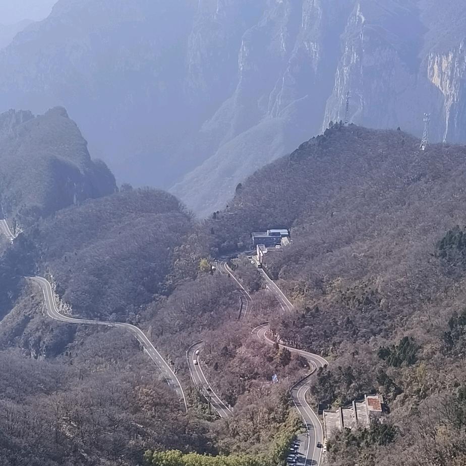 楠峰