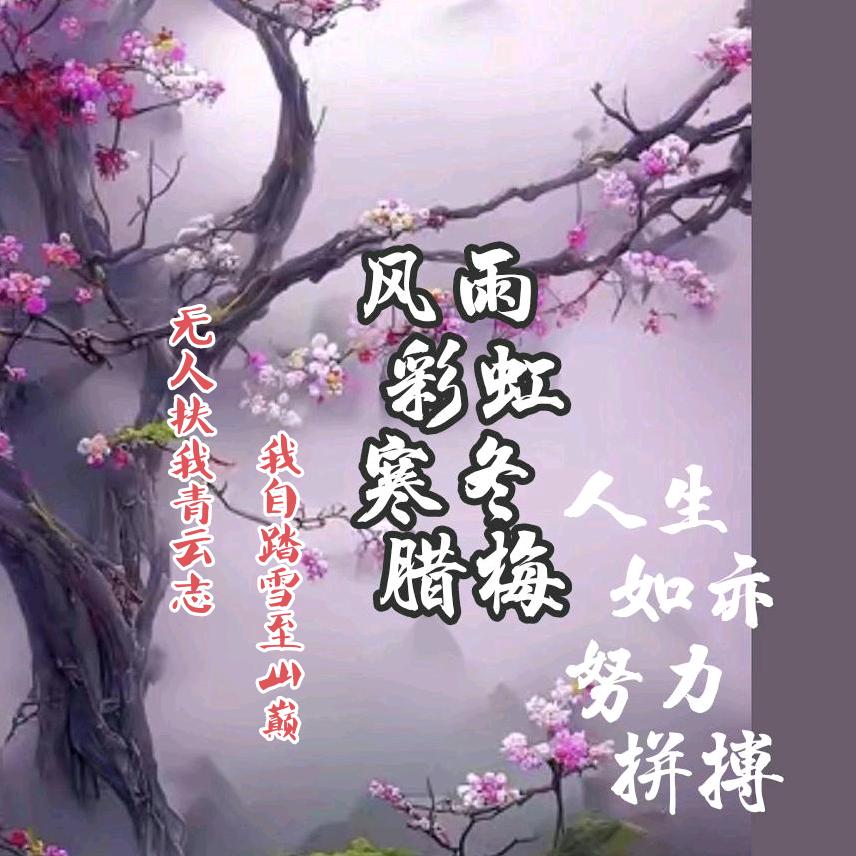 (*_*)踏雪凌云♥