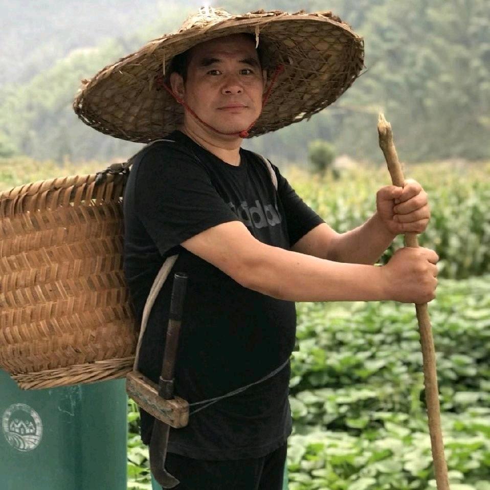 老沈