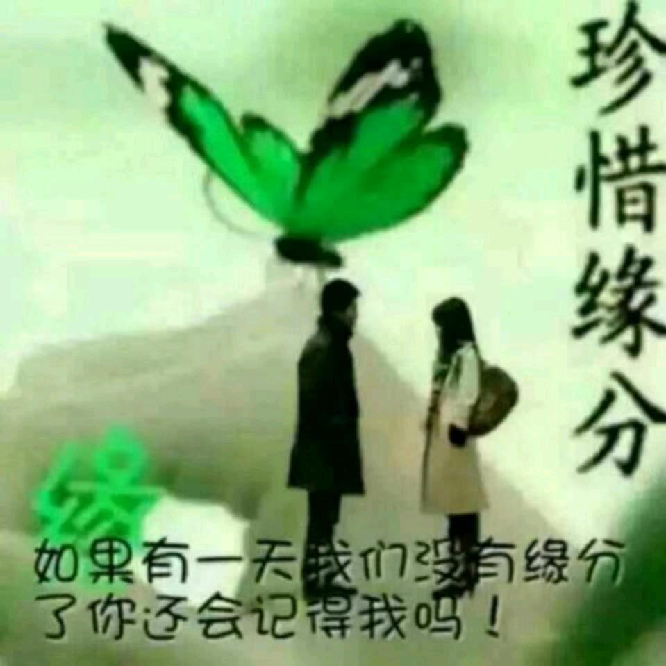 程哥
