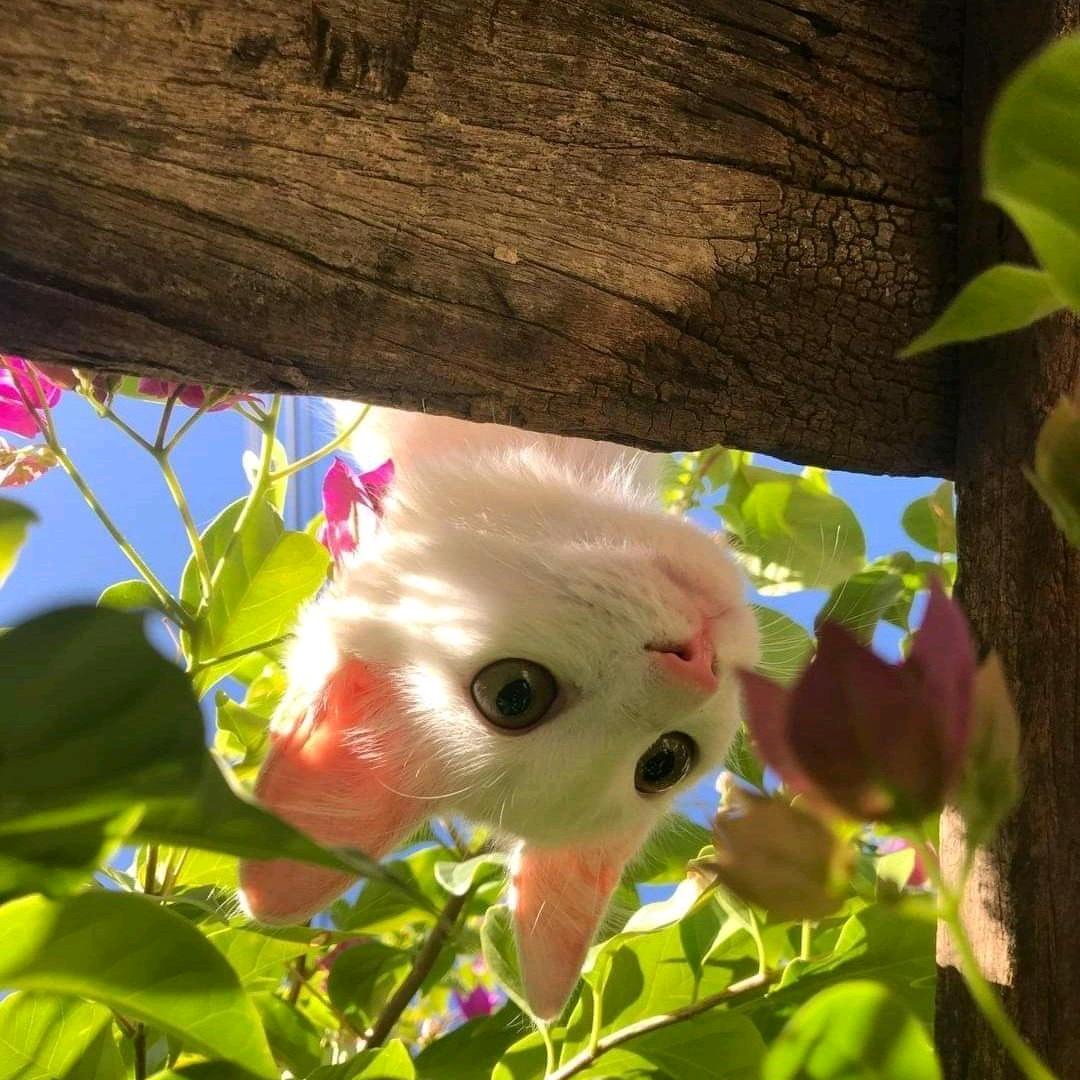 请再多给世界13秒的时间