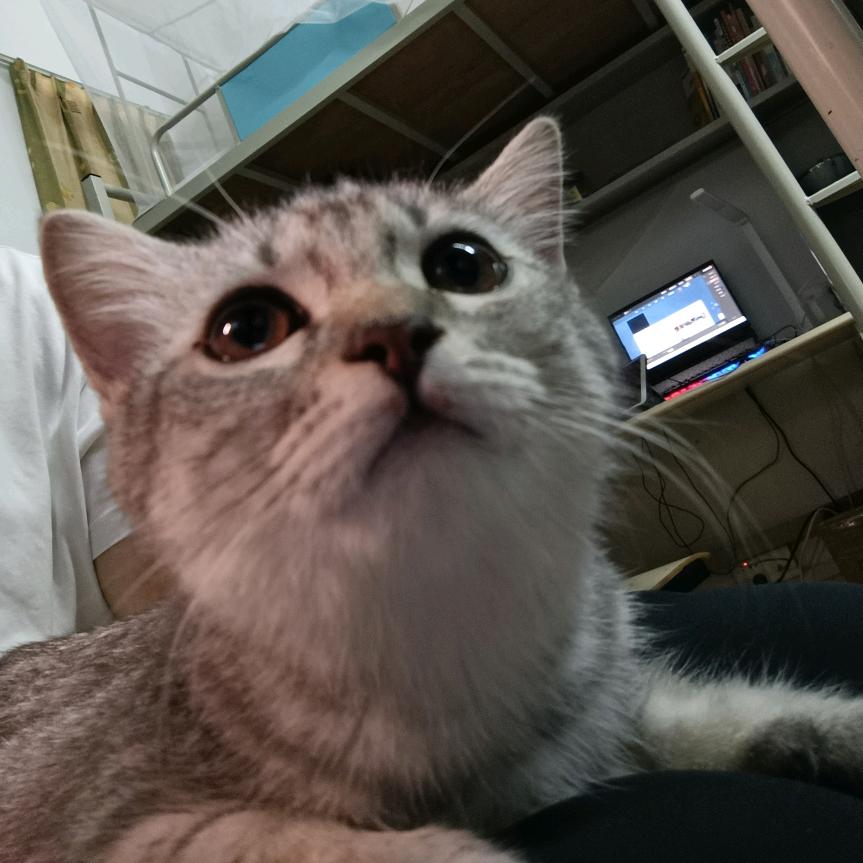 深夜老头