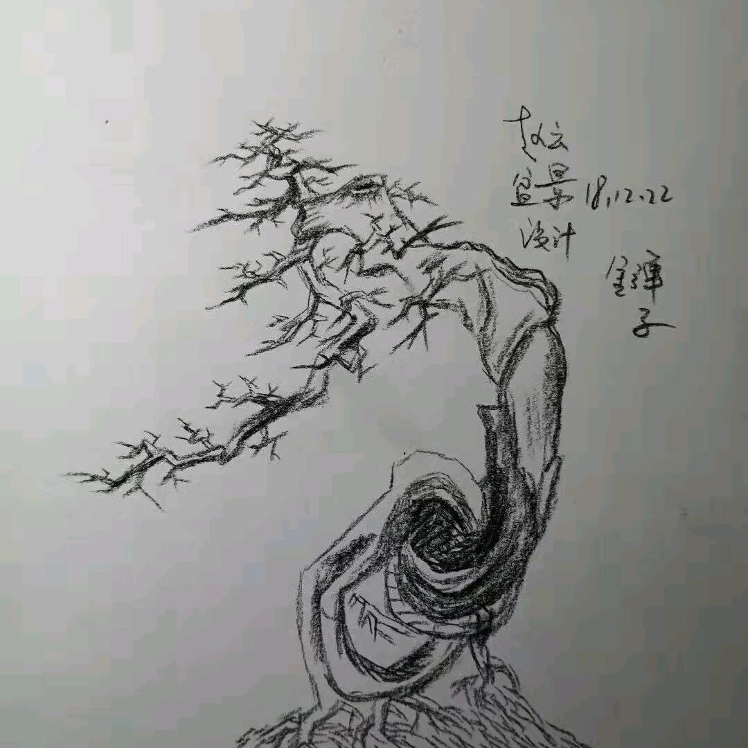 aa星星之火