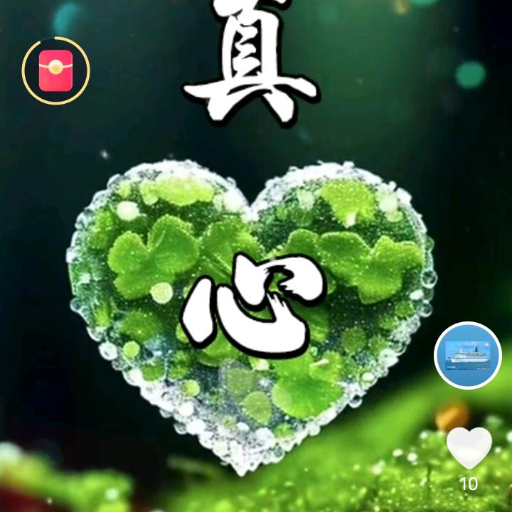 随❤