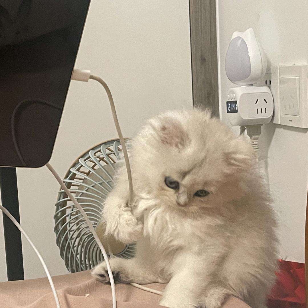 睡啦
